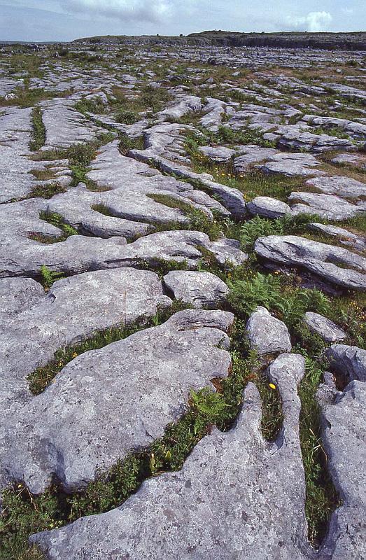 WT 2900 342-07 Ireland.jpg